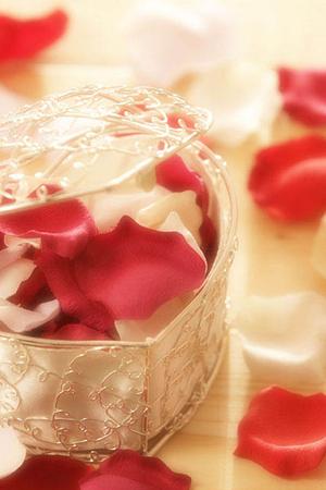 立川市・結婚相談所の公式サイト